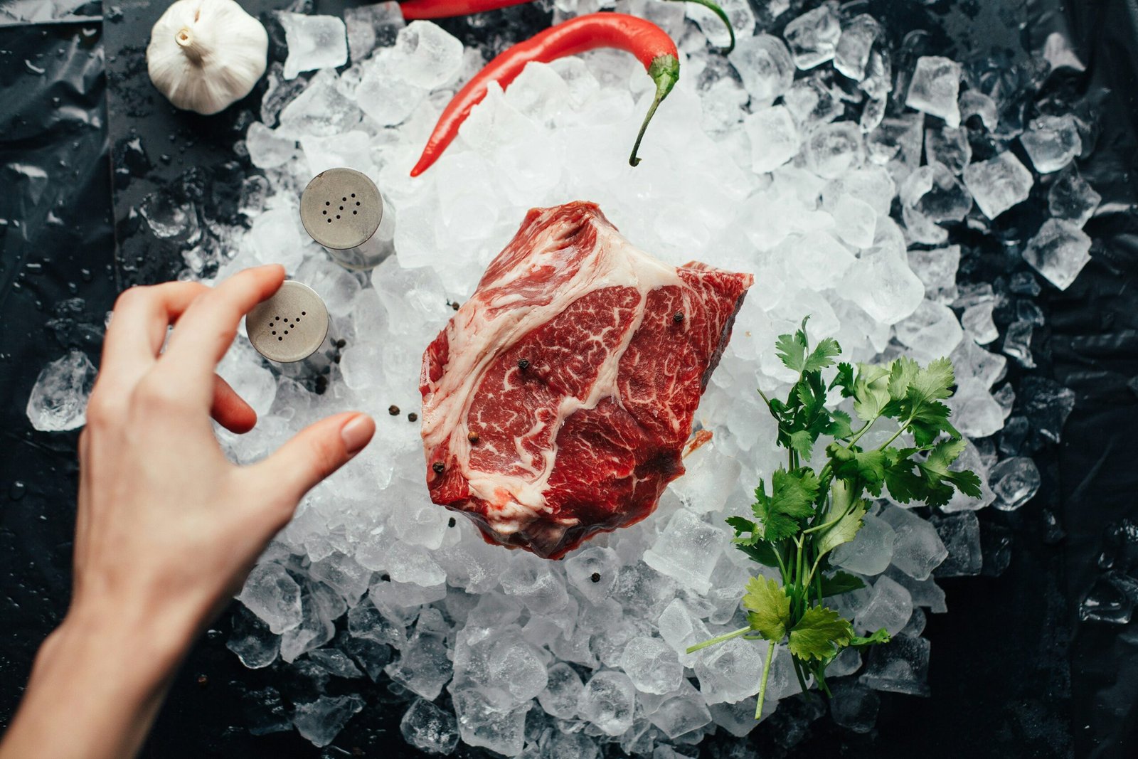 Regional Sourcing, Global Impact: How Local Ingredients Drive Innovation in Pet Food Production